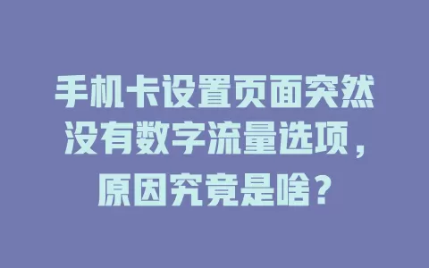 手机卡设置页面突然没有数字流量选项，原因究竟是啥？