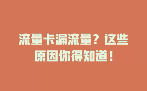 流量卡漏流量？这些原因你得知道！