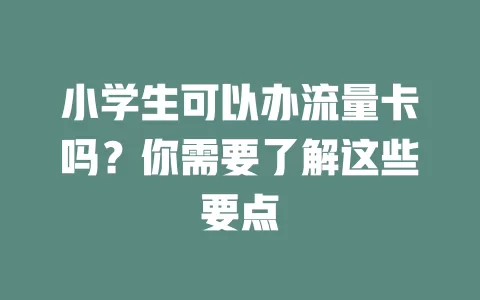 小学生可以办流量卡吗？你需要了解这些要点