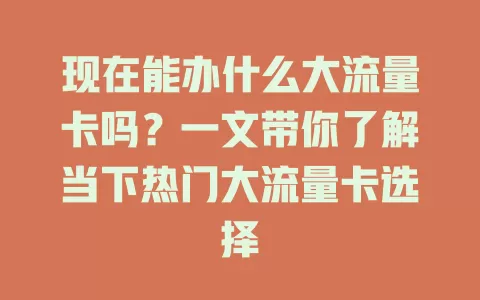 现在能办什么大流量卡吗？一文带你了解当下热门大流量卡选择