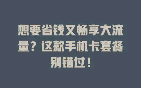 想要省钱又畅享大流量？这款手机卡套餐别错过！