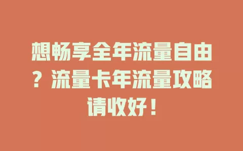 想畅享全年流量自由？流量卡年流量攻略请收好！