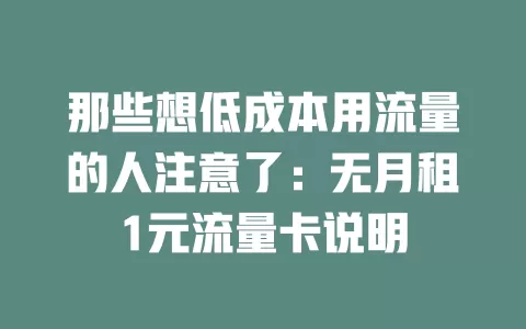 那些想低成本用流量的人注意了：无月租1元流量卡说明