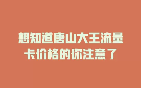 想知道唐山大王流量卡价格的你注意了