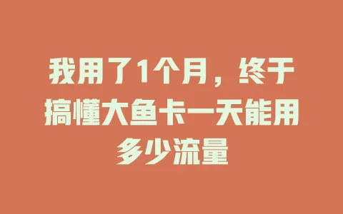 我用了1个月，终于搞懂大鱼卡一天能用多少流量
