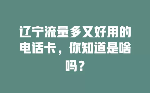 辽宁流量多又好用的电话卡，你知道是啥吗？