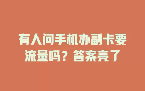 有人问手机办副卡要流量吗？答案亮了