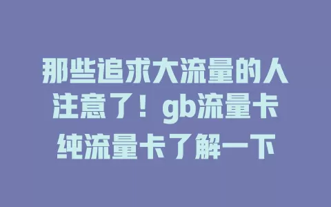 那些追求大流量的人注意了！gb流量卡纯流量卡了解一下