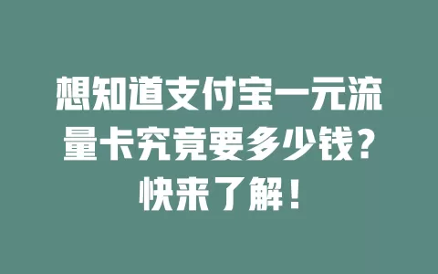 想知道支付宝一元流量卡究竟要多少钱？快来了解！