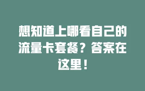 想知道上哪看自己的流量卡套餐？答案在这里！