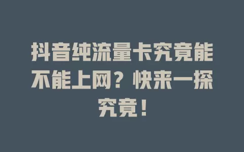 抖音纯流量卡究竟能不能上网？快来一探究竟！