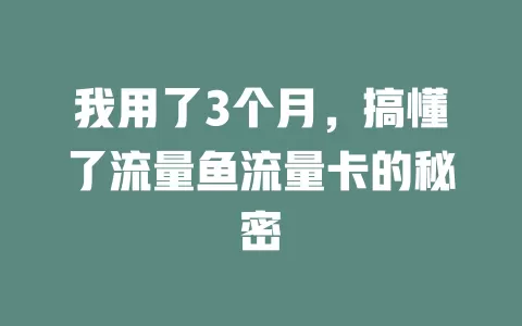 我用了3个月，搞懂了流量鱼流量卡的秘密