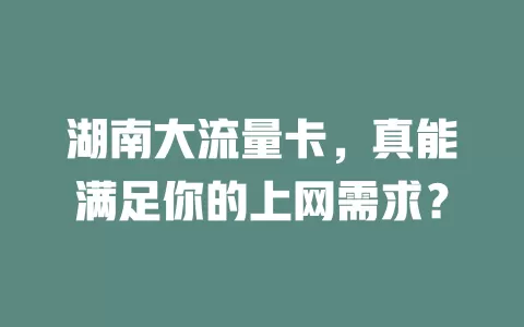 湖南大流量卡，真能满足你的上网需求？