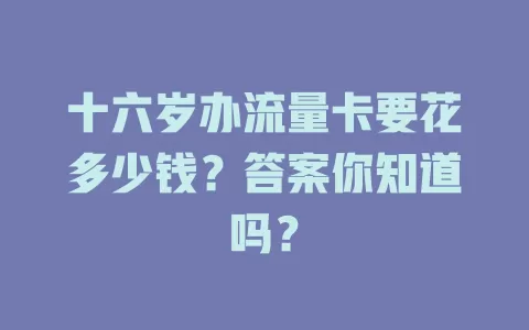 十六岁办流量卡要花多少钱？答案你知道吗？