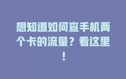 想知道如何查手机两个卡的流量？看这里！