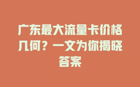 广东最大流量卡价格几何？一文为你揭晓答案