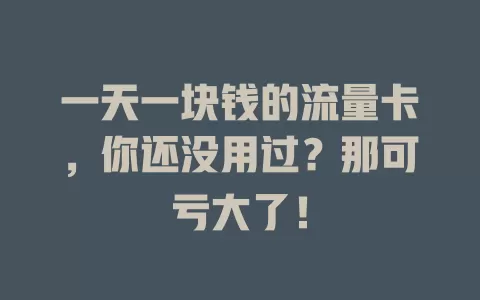 一天一块钱的流量卡，你还没用过？那可亏大了！