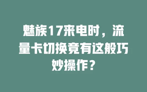 魅族17来电时，流量卡切换竟有这般巧妙操作？