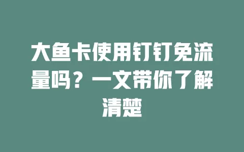 大鱼卡使用钉钉免流量吗？一文带你了解清楚