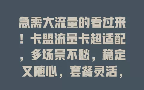 急需大流量的看过来！卡盟流量卡超适配，多场景不愁，稳定又随心，套餐灵活，解决流量烦恼