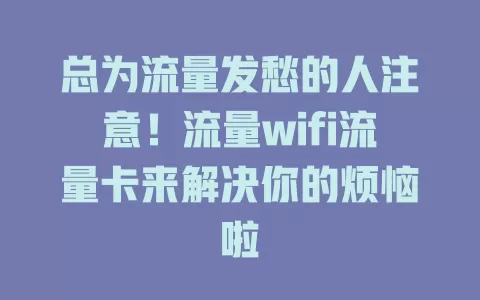 总为流量发愁的人注意！流量wifi流量卡来解决你的烦恼啦