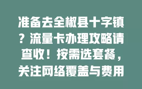 准备去全椒县十字镇？流量卡办理攻略请查收！按需选套餐，关注网络覆盖与费用，做好这些，让你十字镇之行畅享数字便捷