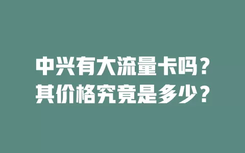 中兴有大流量卡吗？其价格究竟是多少？