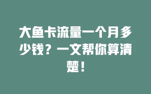 大鱼卡流量一个月多少钱？一文帮你算清楚！