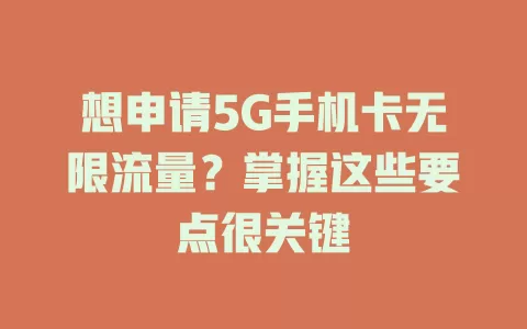想申请5G手机卡无限流量？掌握这些要点很关键