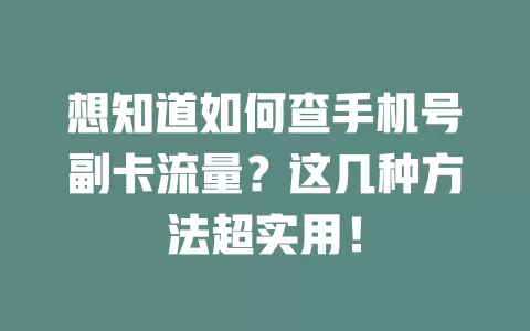想知道如何查手机号副卡流量？这几种方法超实用！