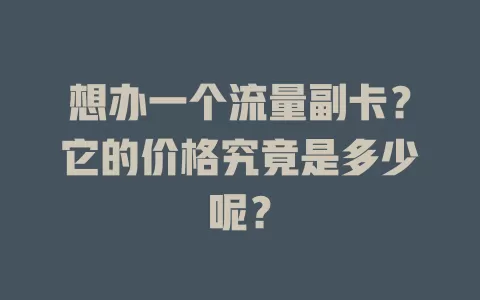 想办一个流量副卡？它的价格究竟是多少呢？