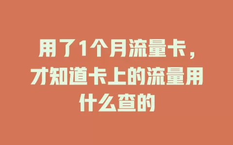 用了1个月流量卡，才知道卡上的流量用什么查的