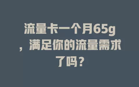 流量卡一个月65g，满足你的流量需求了吗？