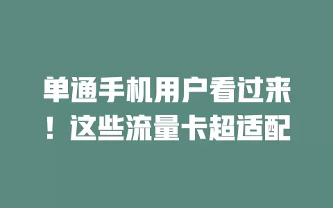 单通手机用户看过来！这些流量卡超适配