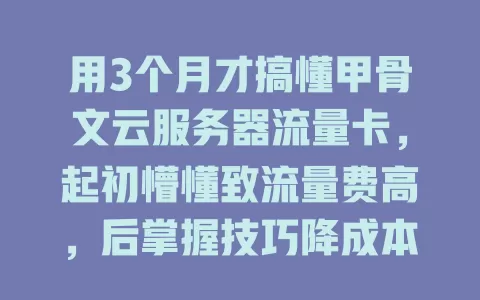 用3个月才搞懂甲骨文云服务器流量卡，起初懵懂致流量费高，后掌握技巧降成本提效率
