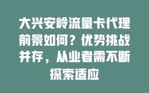 大兴安岭流量卡代理前景如何？优势挑战并存，从业者需不断探索适应