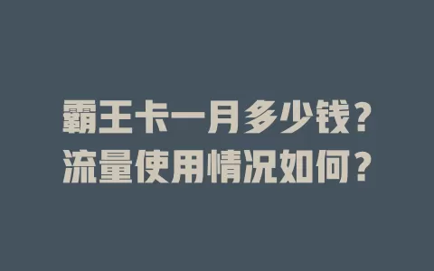 霸王卡一月多少钱？流量使用情况如何？