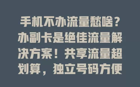 手机不办流量愁啥？办副卡是绝佳流量解决方案！共享流量超划算，独立号码方便用，选套餐看需求，用副卡要留意这些，轻松解决流量难题