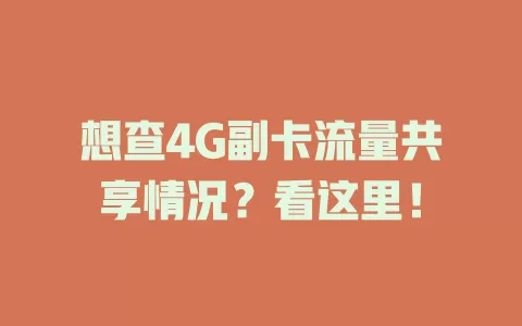想查4G副卡流量共享情况？看这里！