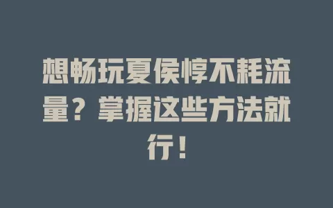 想畅玩夏侯惇不耗流量？掌握这些方法就行！