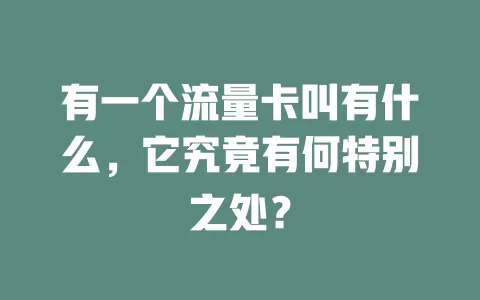 有一个流量卡叫有什么，它究竟有何特别之处？