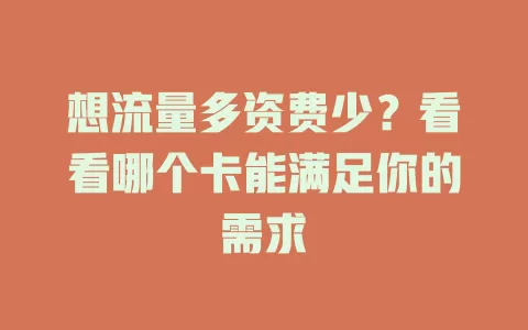 想流量多资费少？看看哪个卡能满足你的需求