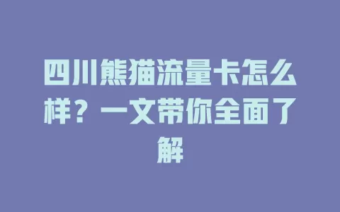 四川熊猫流量卡怎么样？一文带你全面了解