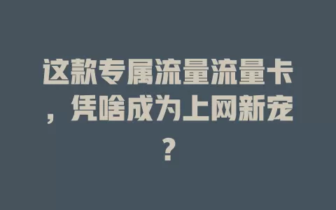 这款专属流量流量卡，凭啥成为上网新宠？