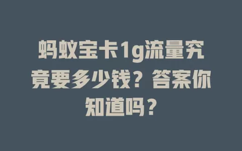 蚂蚁宝卡1g流量究竟要多少钱？答案你知道吗？