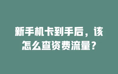 新手机卡到手后，该怎么查资费流量？