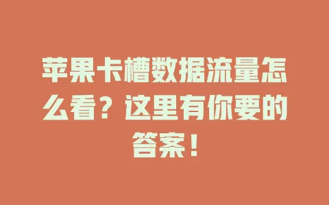 苹果卡槽数据流量怎么看？这里有你要的答案！