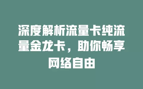 深度解析流量卡纯流量金龙卡，助你畅享网络自由