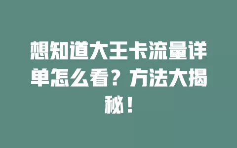 想知道大王卡流量详单怎么看？方法大揭秘！