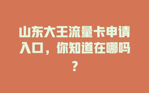 山东大王流量卡申请入口，你知道在哪吗？